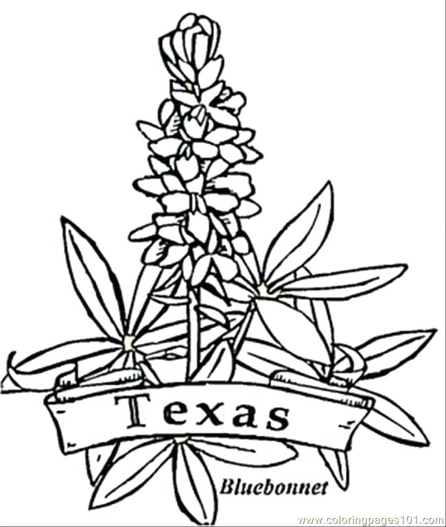 650x768 Texas Symbols Coloring Pages Search Results Map Coloring Page