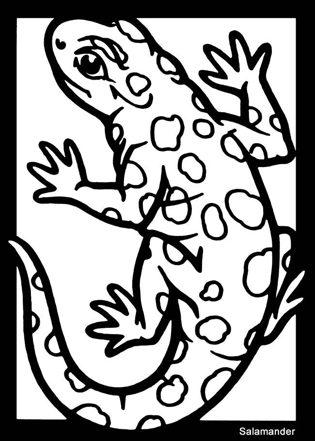 650x908 Best Coloring Pages