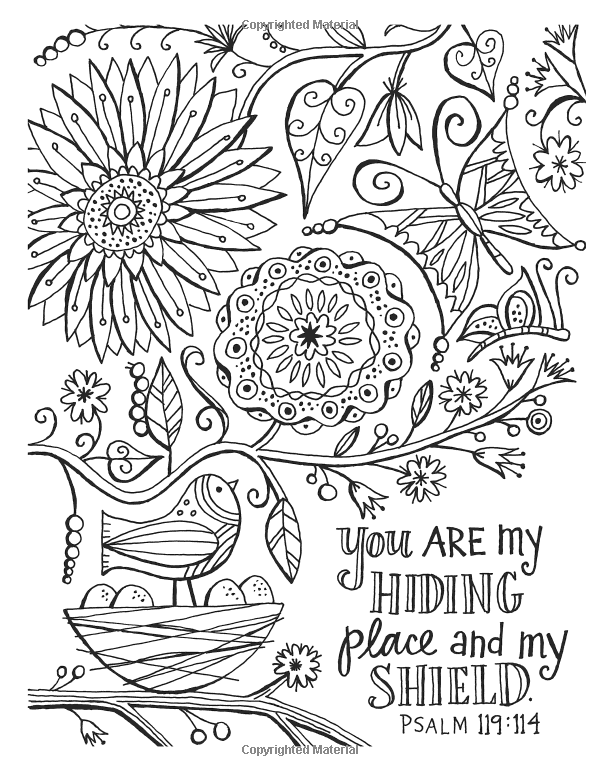 600x776 Color The Promises Of God An Adult Coloring Book For Your Soul
