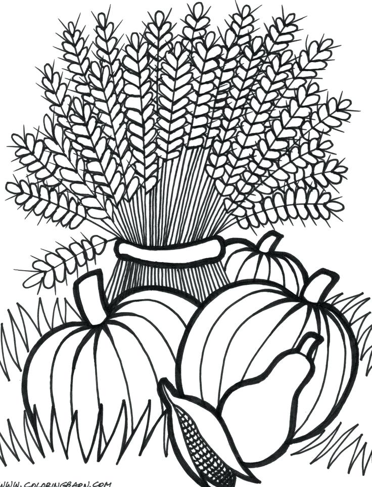 736x964 Thanksgiving Coloring Pages For Adults As Well As Thanksgiving