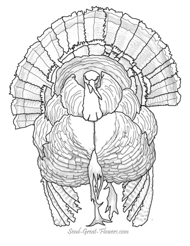 612x792 Advanced Thanksgiving Coloring Pages Turkey Abstract Doodle