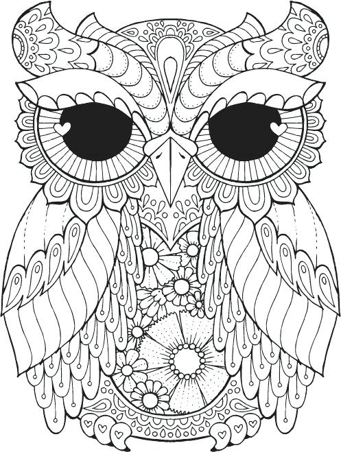 497x659 Coloring Pages On Best Owl Coloring Pages Ideas On Free