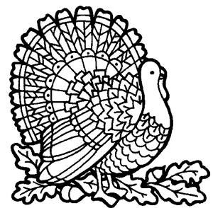 300x294 Simple Thanksgiving Coloring Pages