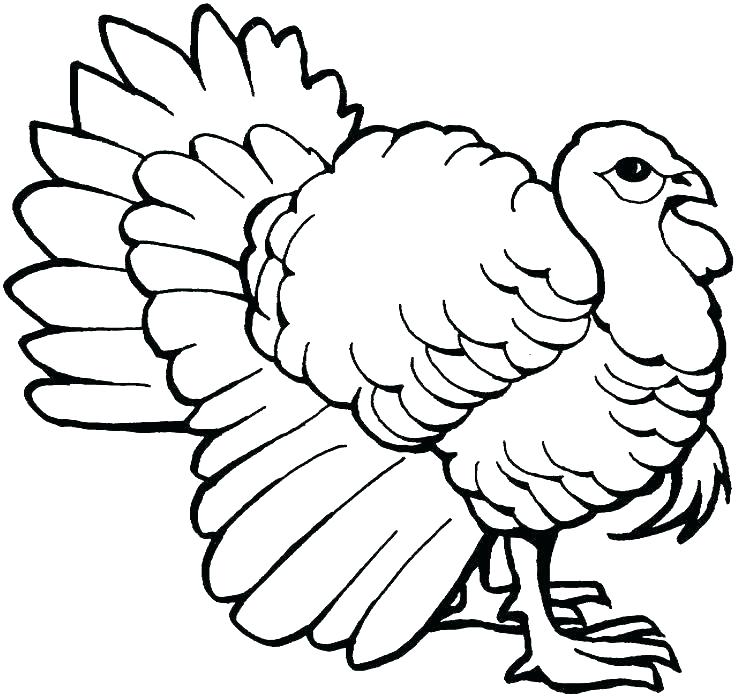736x697 Thanksgiving Turkey Coloring Page Coloring Page Of Turkey Coloring