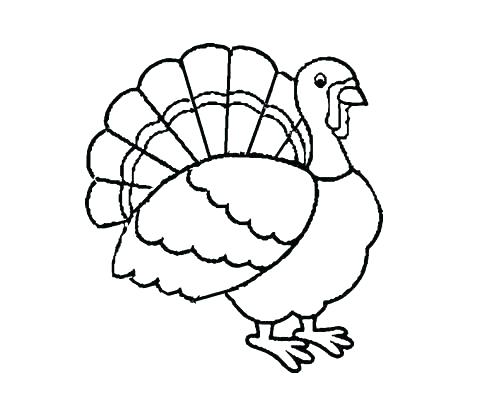 500x416 Cornucopia Pictures To Color Handmade Thanksgiving Cornucopia