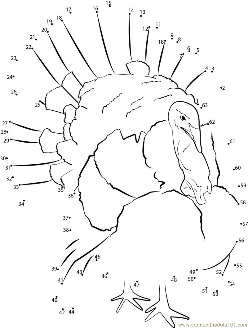 800x1058 Thanksgiving Connect The Dots Printables Worksheets For All