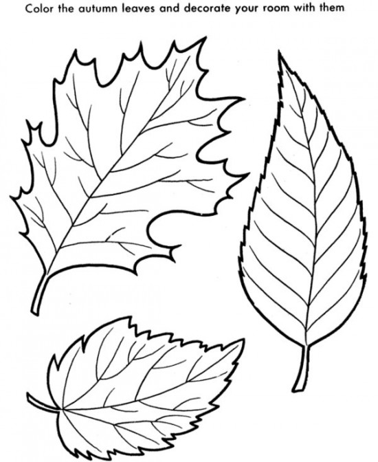 550x672 Fall Autumn Leaves Coloring Page