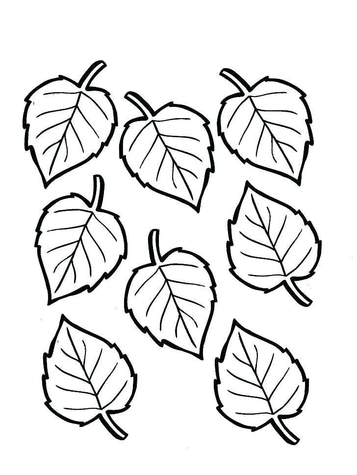 728x969 Leaf Coloring Page As Well As Leaf Coloring Page Coloring Pages