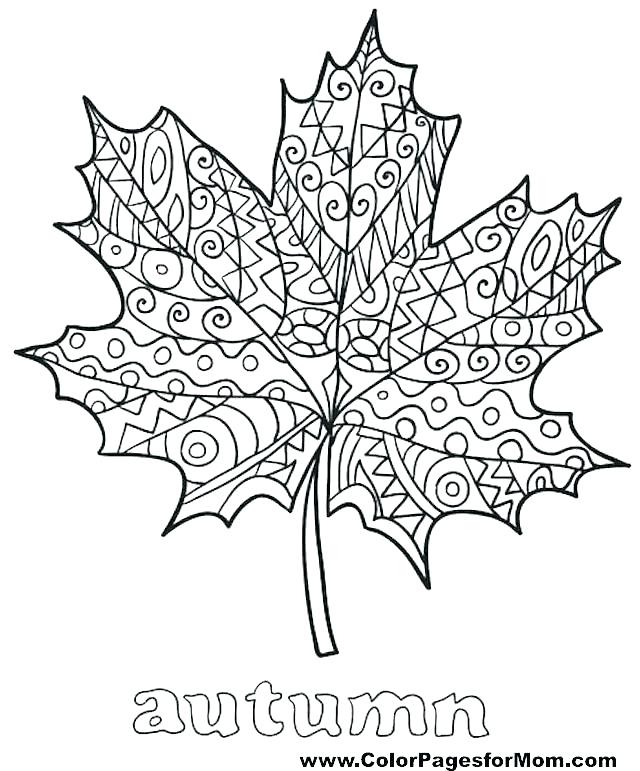 640x771 Printable Coloring Page Fall With Leaves And Some Activities Your