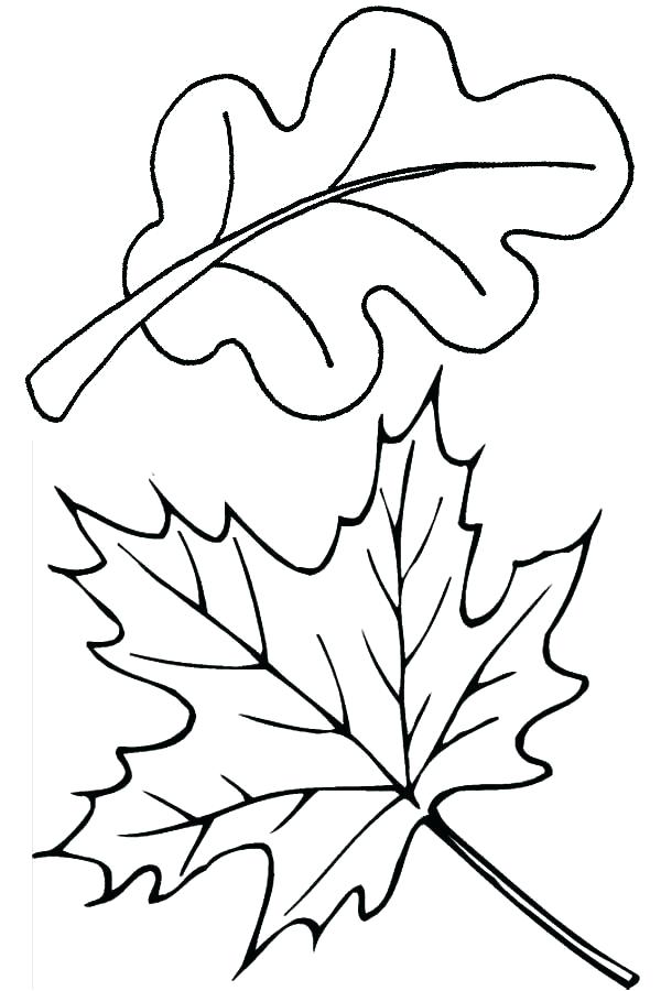 600x900 Thanksgiving Leaves Coloring Pages Thanksgiving Leaves Coloring