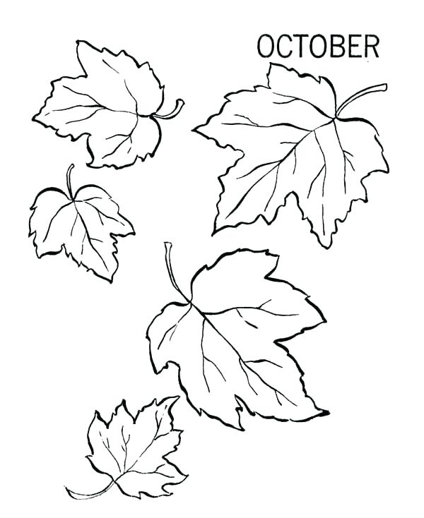 600x734 Thanksgiving Leaves Coloring Pages