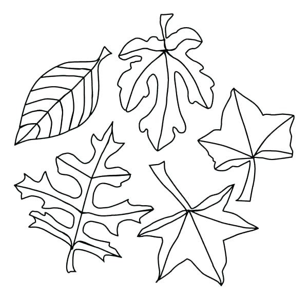 600x583 Coloring Pages For Fall Free Printable Coloring Pages Fall Autumn