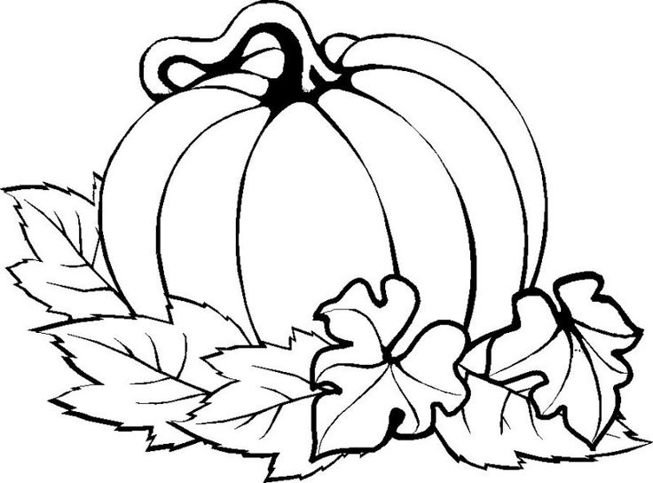 736x544 Pumpkin Coloring Pages For Preschool Pumpkin Coloring Pages
