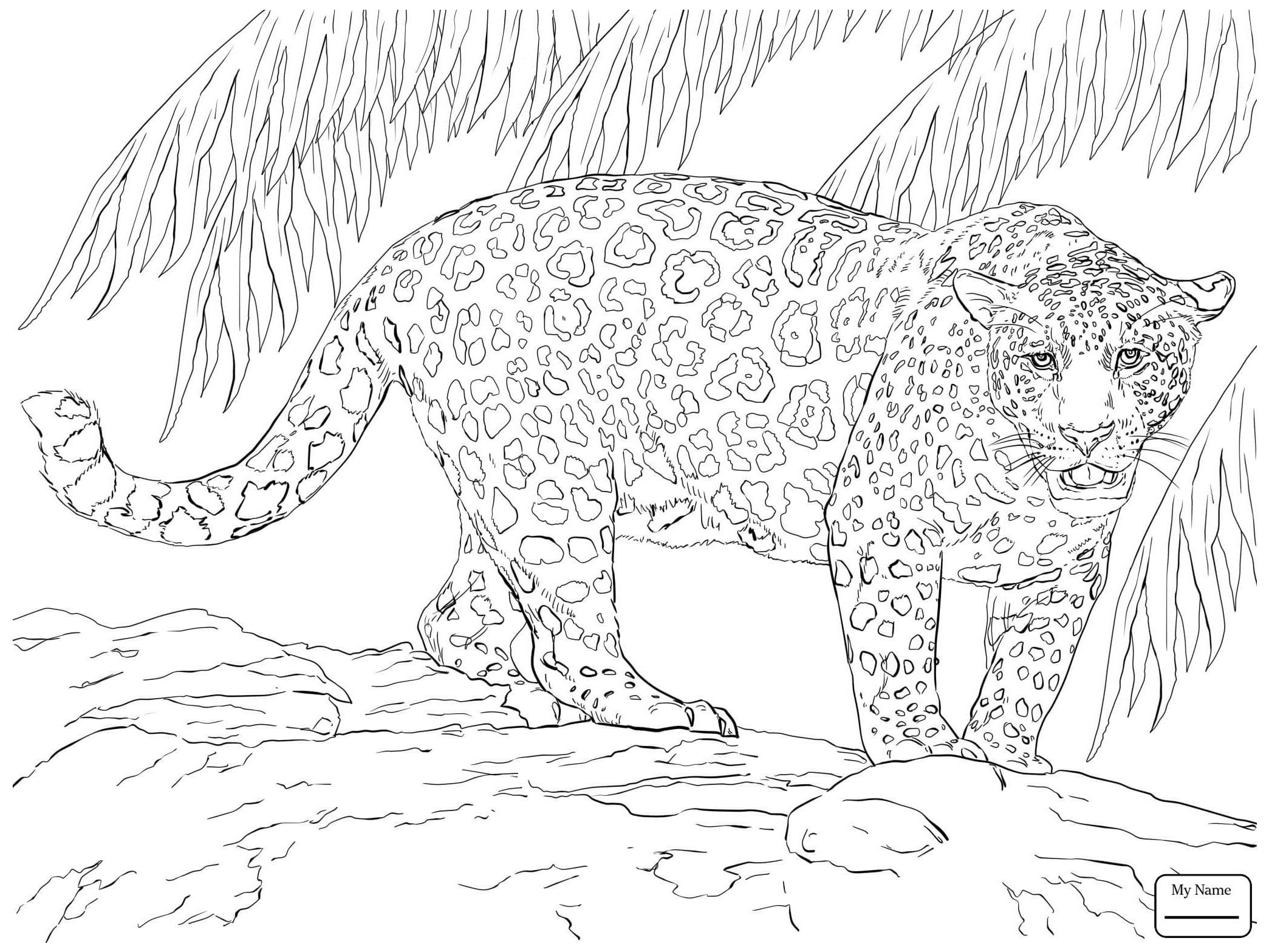 2089x1567 Marvel Thanos Coloring Pages Fresh Black Panther Coloring Pages