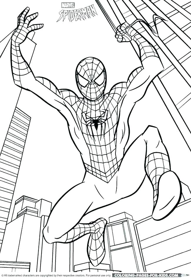 650x950 The Amazing Spider Man Coloring Pictures Index Color Spiderman