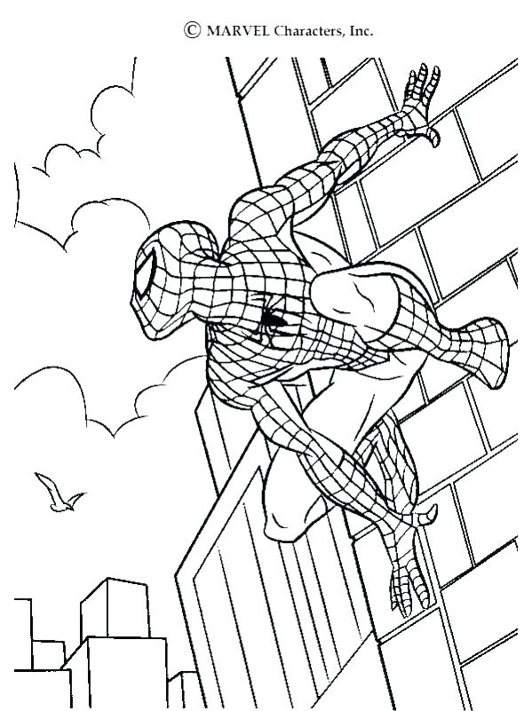 599x801 The Amazing Spider Man Coloring Pages Free Coloring Pages Spider