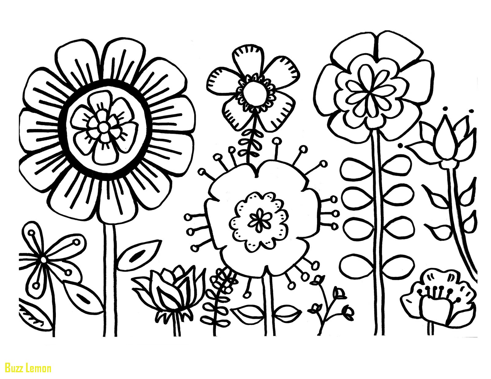 1600x1234 Best Of Coloring Page Flowers Buzz Coloring