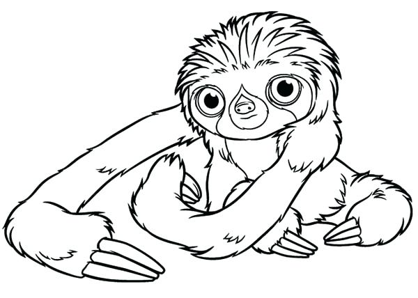 600x428 The Croods Coloring Pages The Guy Drawing Yahoo Image Search