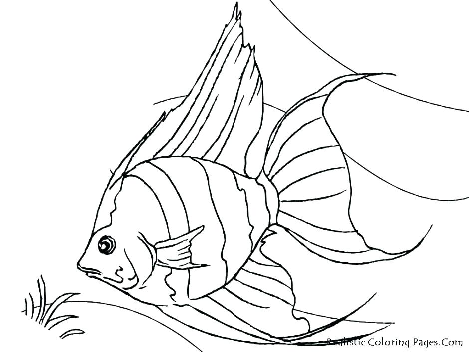 940x705 Palace Coloring Pages Tropical Fish Coloring Pages Tropical Fish