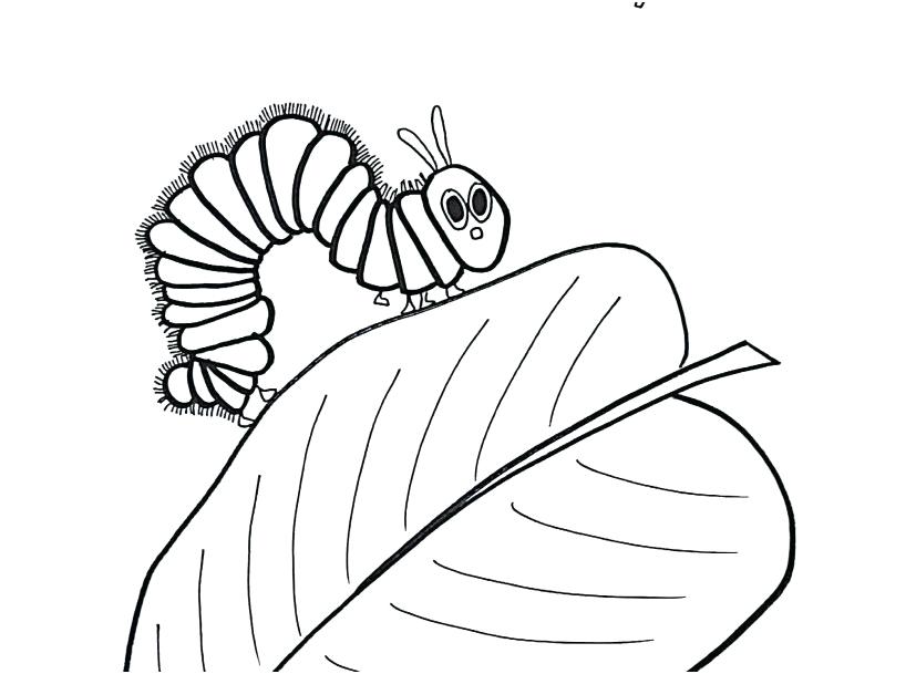 827x609 Hungry Caterpillar Coloring Pages Exquisite Decoration The Very