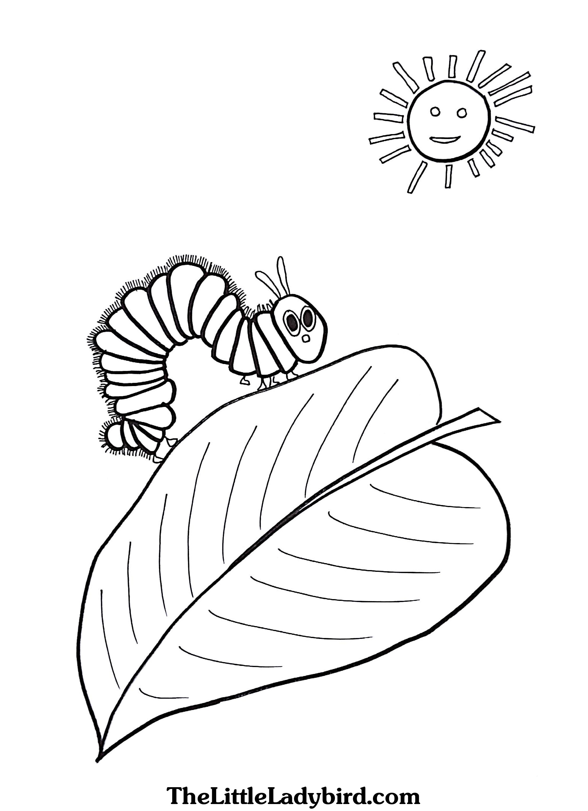 2026x2794 Monumental Very Hungry Caterpillar Coloring Pages Free Download