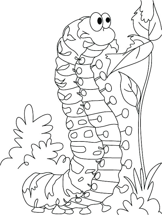 558x740 Very Hungry Caterpillar Coloring Pages Very Hungry Very Hungry