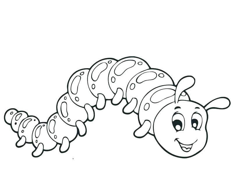 800x600 Caterpillar Coloring Page Hungry Caterpillar Coloring Pages Best