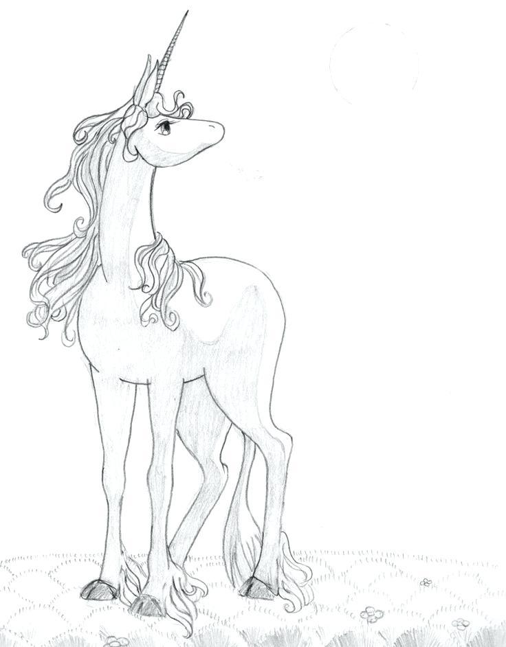 736x942 Space Unicorn Coloring Pages And The Last Unicorn Coloring Pages