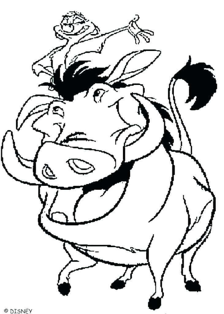 731x1024 Coloring Pages Lion Coloring Pages Lion King Coloring Pages Free