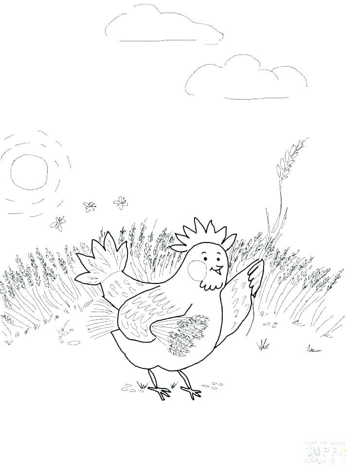 728x971 Hen Coloring Page