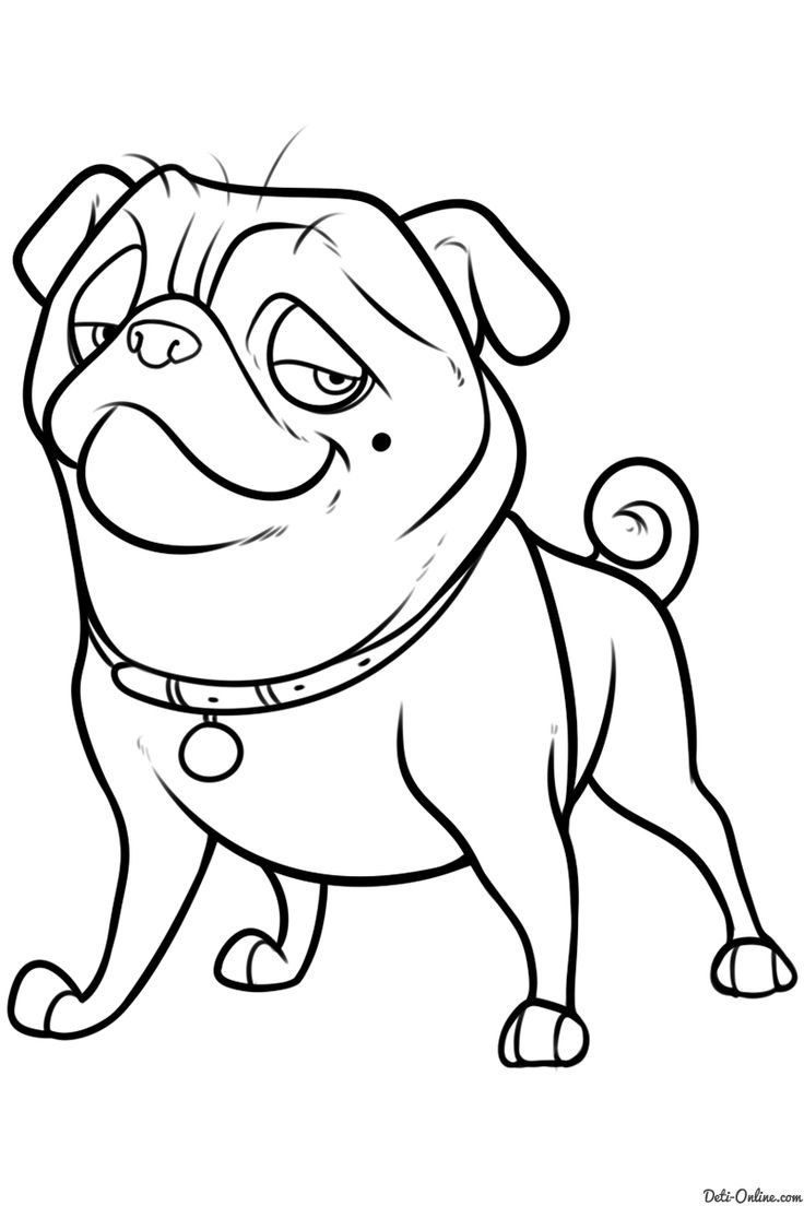 The Nut Job Coloring Pages at GetDrawings | Free download