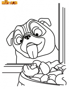 235x300 Top The Nut Job Coloring Pages