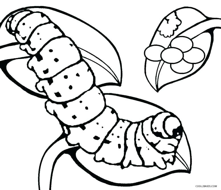 776x666 The Very Hungry Caterpillar Coloring Pages Printables Caterpillar
