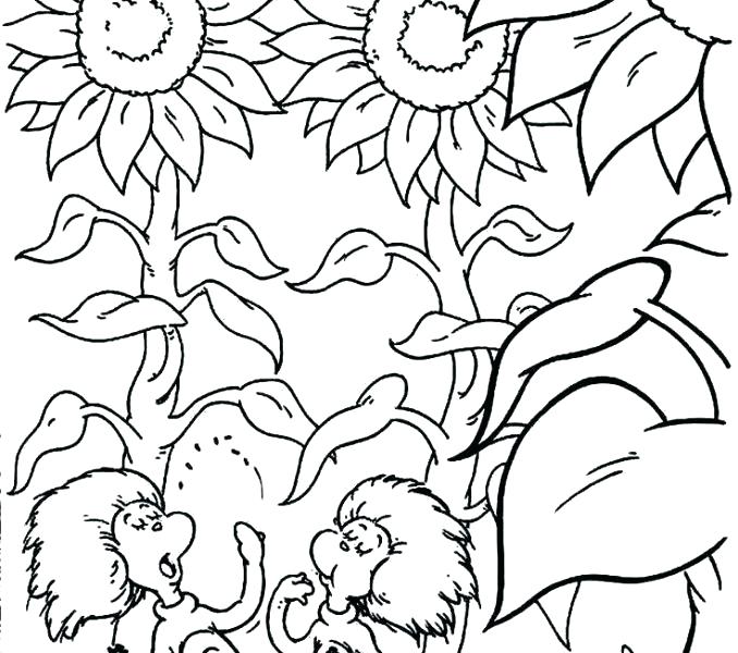 678x600 Thing And Thing Coloring Pages Green Eggs And Ham Coloring