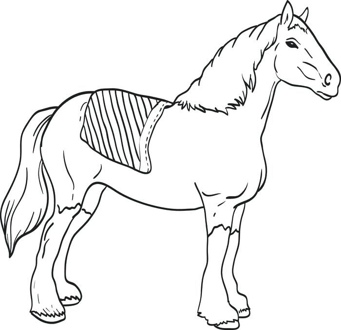 700x678 Horse Head Coloring Page This Is Horse Head Coloring Page Pictures