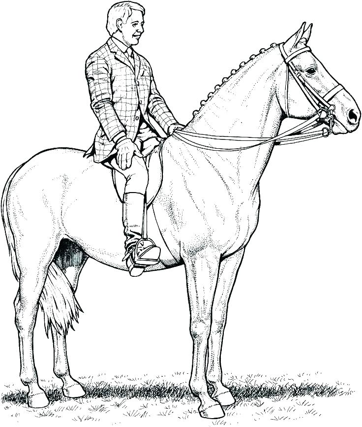 736x867 Horses Coloring Page Horse Realistic Horse Head Coloring Pages