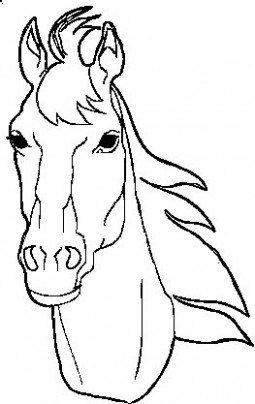 255x404 Thoroughbred Horse Coloring Pages Coloring Pages