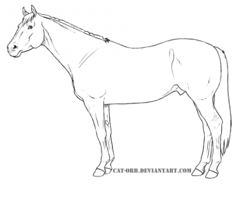465x387 Thoroughbred Horse Coloring Pages Coloring Pages