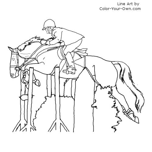 500x500 Thoroughbred Jumper Coloring Page Side View