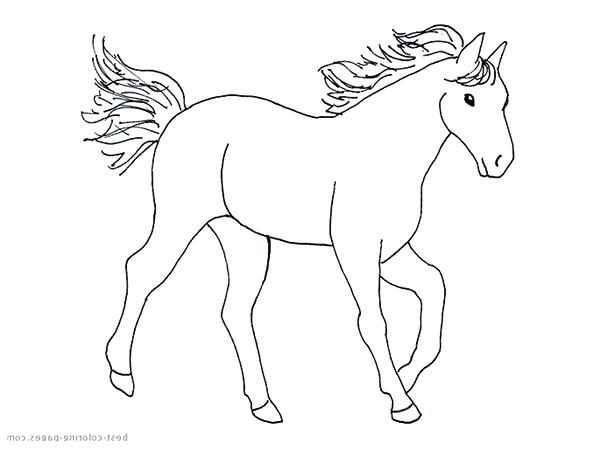 600x449 Coloring Pages Horse Head Flying Print Page For Kids