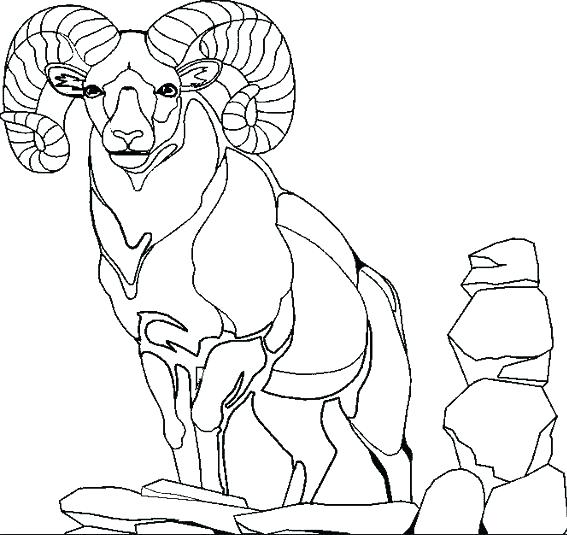 567x535 Three Billy Goats Gruff Coloring Pages Goat Coloring Page Mountain