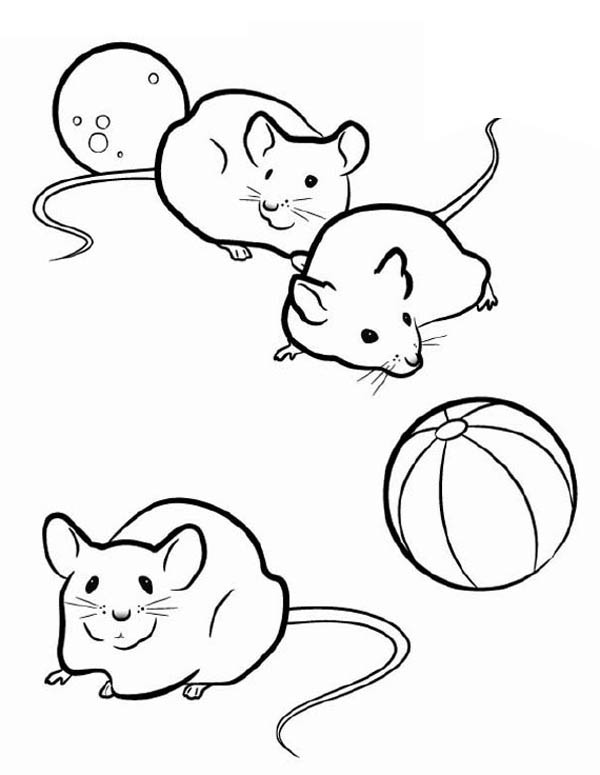 600x775 Three Mice In Guinea Pig Coloring Page Color Luna