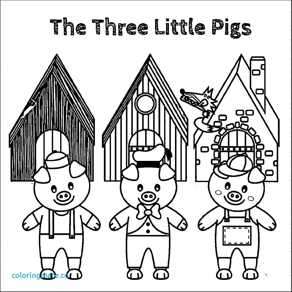 1000x1000 Three Little Pigs Coloring Pages New Printable Inside
