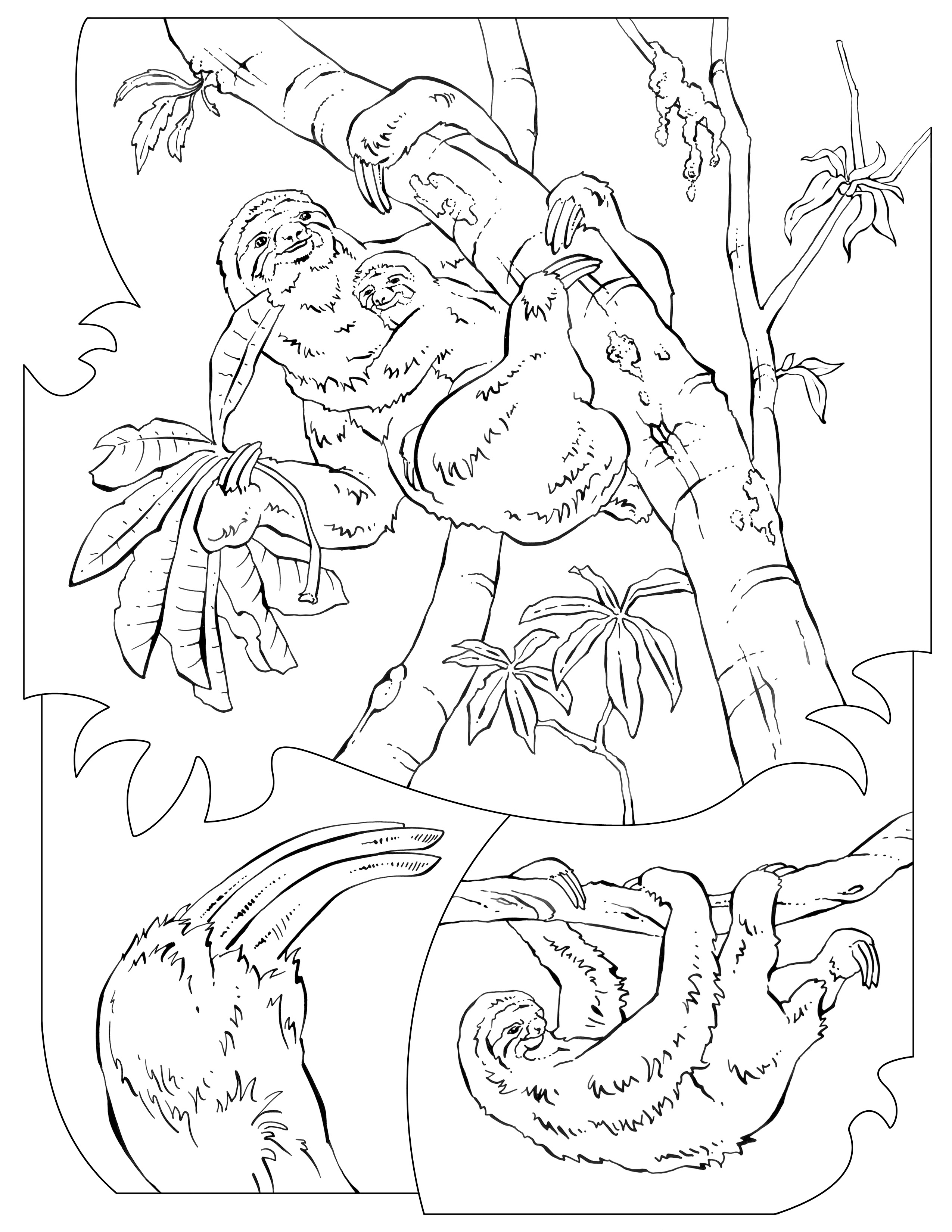 2550x3300 Awesome Sloth Page To Color Collection Printable Coloring Sheet