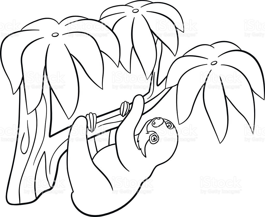 1024x841 Sloth Coloring Page Awesome Zootapia Flash Of For Kids Baby Pages