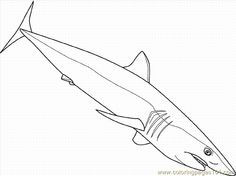 236x176 Sea Animals, Ferocious Shark Sea Animals Coloring Page