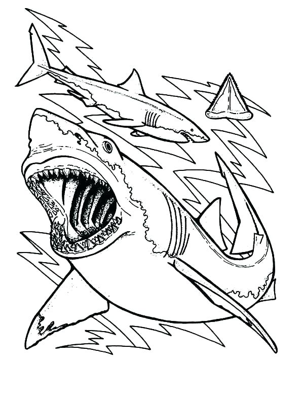 600x781 Shark Coloring Pages To Print Great White Shark Coloring Pages