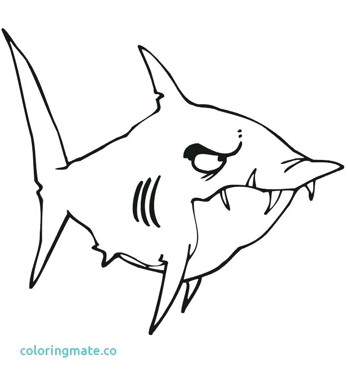 700x761 Coloring Page Of Shark Professional