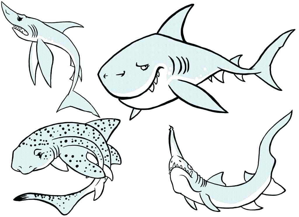 1024x745 Hammerhead Shark Coloring Pages