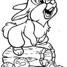 220x220 Thumper Coloring Pages